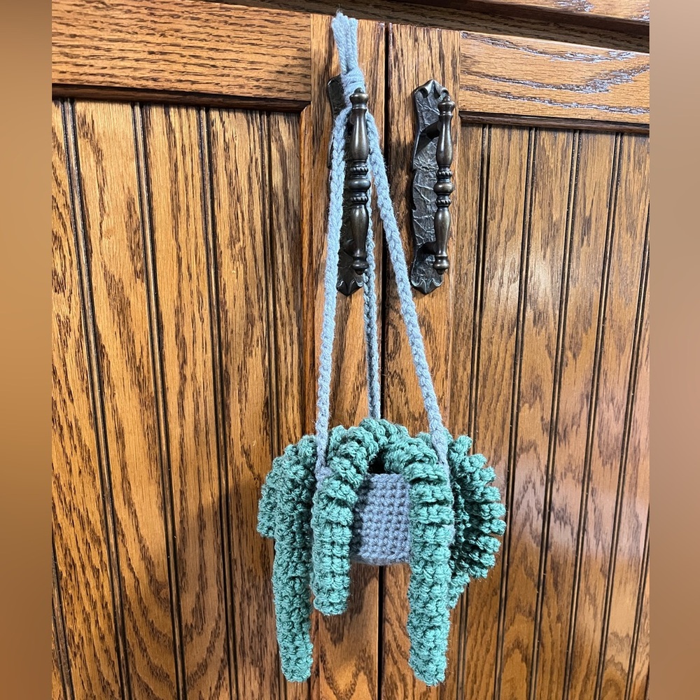 Handmade Crochet Hanging Succulent Plant
